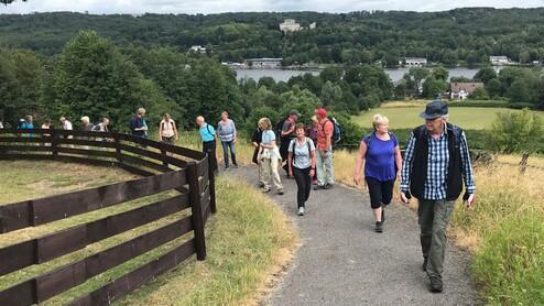 Gruppe von Wanderern auf einem Schotterweg, umgeben von Bäumen und Wiese, mit einem angrenzenden Holzzaun.