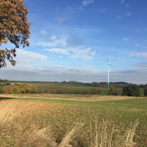 Herbstliche Landschaft mit grünen Feldern, einem Windrad und buntem Laubbaum im Vordergrund unter blauem Himmel.