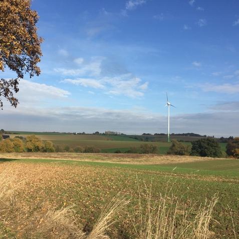 Herbstliche Landschaft mit grünen Feldern, einem Windrad und buntem Laubbaum im Vordergrund unter blauem Himmel.
