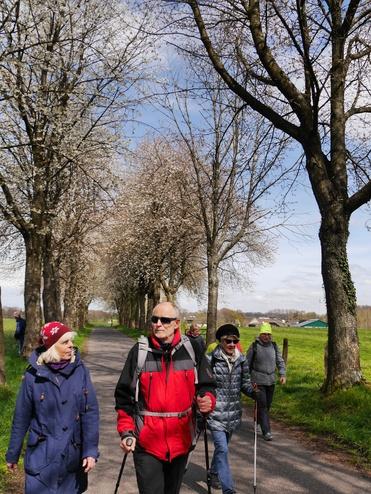 Gruppe von Wanderern auf einem Weg, umgeben von blühenden Bäumen und grünem Gras, bei sonnigem Wetter.