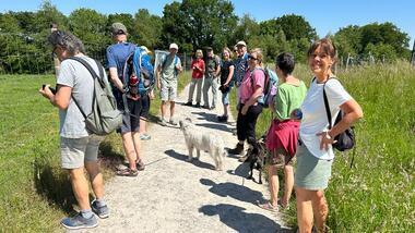 Gruppe von Wanderern auf einem Weg, begleitet von zwei Hunden, umgeben von Wiese und Bäumen.