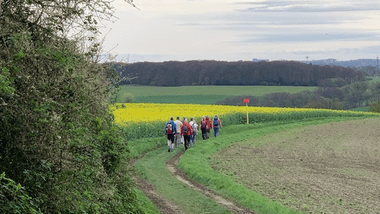 Gruppe von Wanderern auf einem schmalen Weg, umgeben von grünen Feldern und leuchtend gelben Rapsblüten.